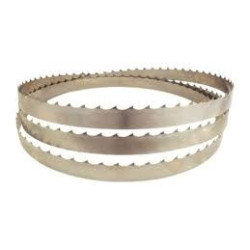 Brzeszczot taśmowy Scheppach do HBS300 6 x 0,36 x 2240 mm 24 zęby
